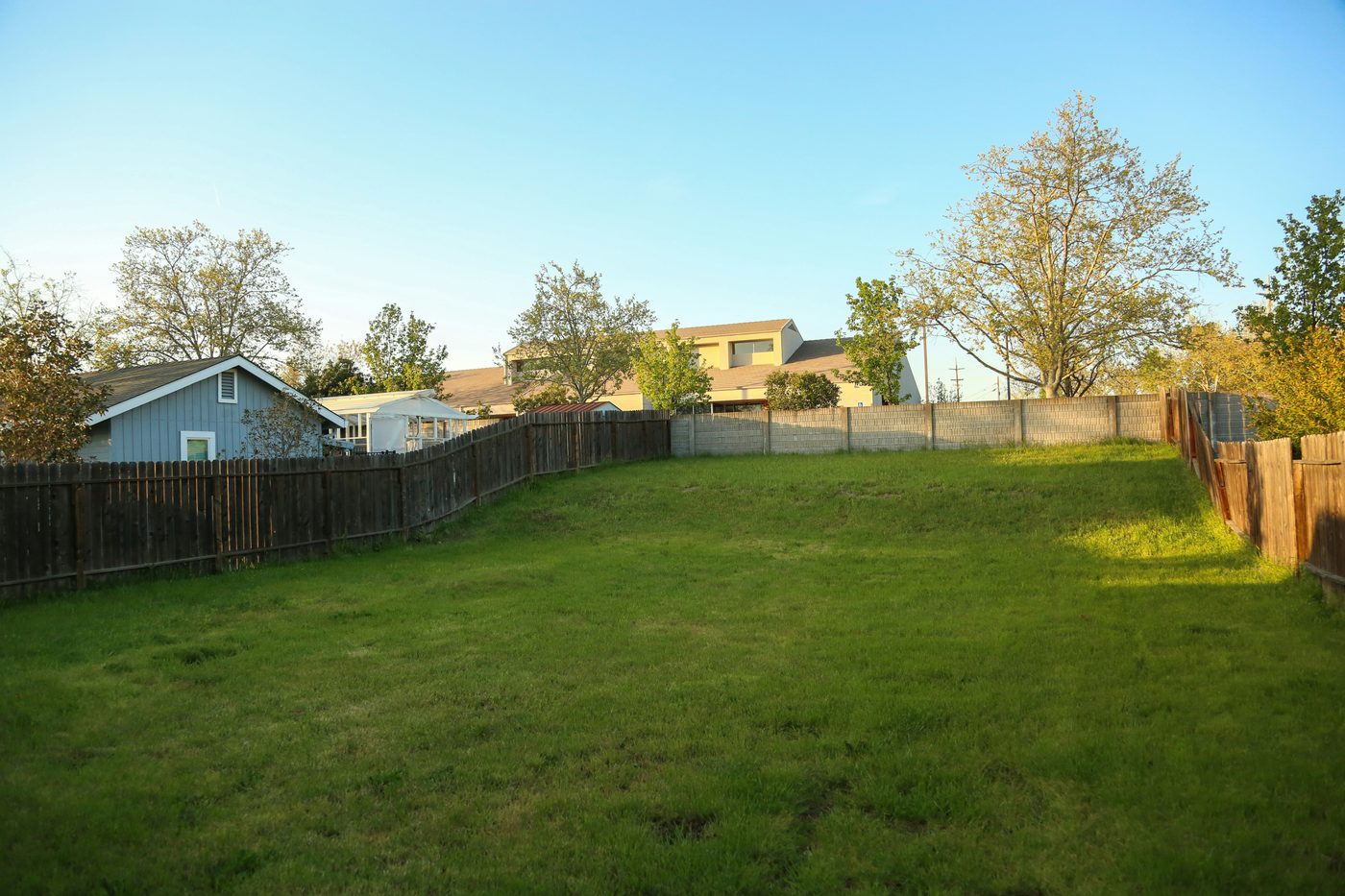 Plain backyard before AI redesign